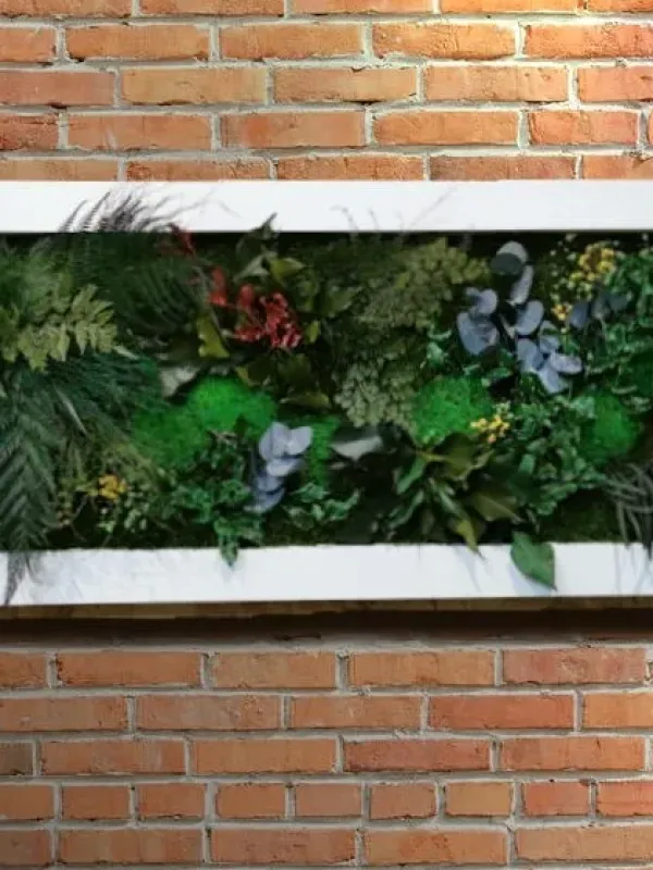 Naturalna Zieleń w białej ramie